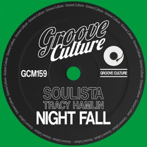Night Fall - Single