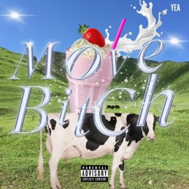 Bitch Move YEA