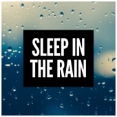 Sleep in the Rain artwork