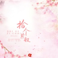 拾个紫钗 - Single - 凯乐Kailer