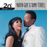 Marvin Gaye & Tammi Terrell - Ain't No Mountain High Enough
