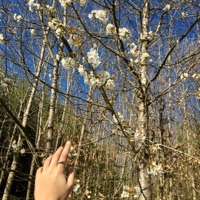 Love Me - Single - luk.dontdieforyou