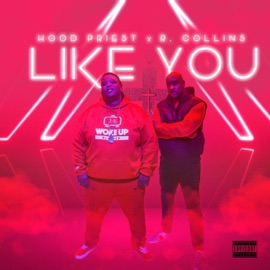 LIKE YOU (feat. R Collins & Simply Dre) Hood Priest
