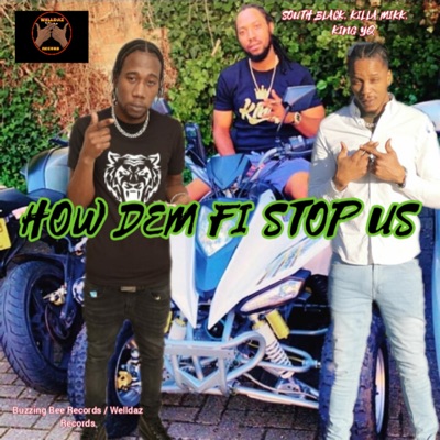 How Dem Fi Stop Us (feat. Killa Mikk & King YQ) - Single