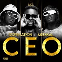 Ceo (feat. Medikal) - Single - DopeNation