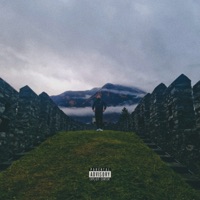 Antisocial - Single - Wender