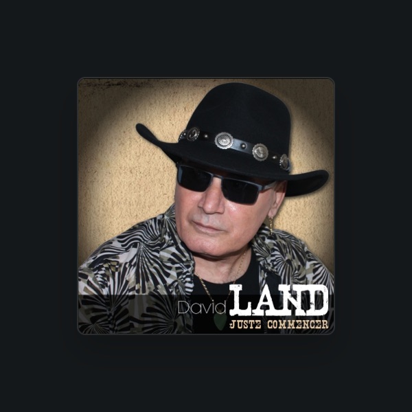 David Land's avatar