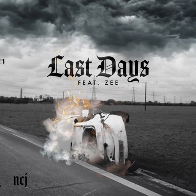 Last Days (feat. Zee) - Single