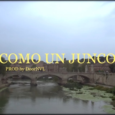 Como un junco (feat. Door NVL) - Single