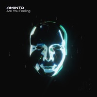 Are You Feeling - Single - AMINTO