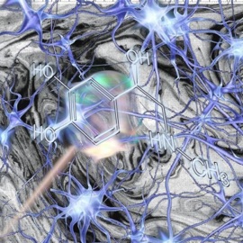 Adrenalina Ramsy & Zkilled