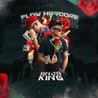 Flow Harcore - Single - bnja king