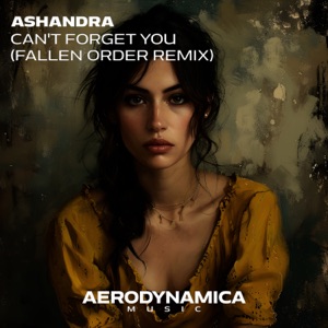 Can't Forget You (Fallen Order Remix) - Single