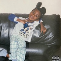 SWURF PARADIGM - Texcel