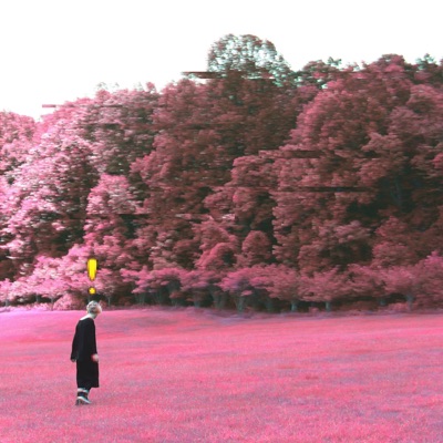 Npc - Single