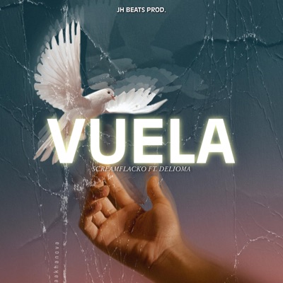 Vuela (feat. delioma) - Single