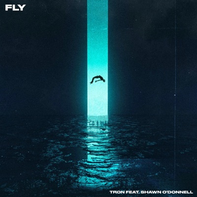 Fly (feat. Shawn O'Donnell) - Single