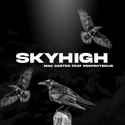 SKYHIGH (feat. RespectBdub) - Single