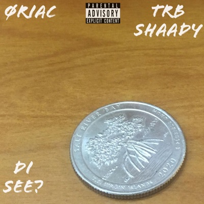 di see? (feat. Trb Shaady) - Single