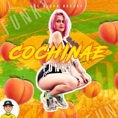 Cochinae Funky - Single