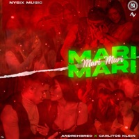 Mari Mari - Single - Andrehbred, Carlitos Klein & Nysix Music