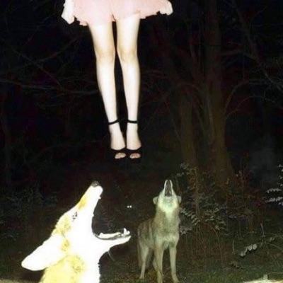 Autopsy of My Dream Girl - EP