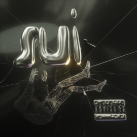 Sui GhosTMG