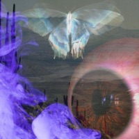 TELL ME (feat. Amon14) - Single - Xotic