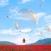 The W.O.W. (The Weight of Wind) - Cashus King