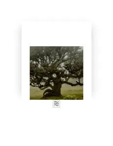 聆聽 Soft Sleepful Tibetan Bowls with Rainfall、觀看音樂影片、閱讀小傳、查看巡演日期等！