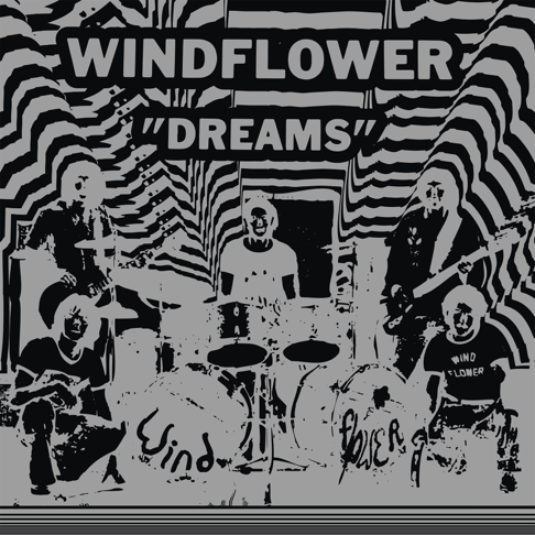 特価品セ Windflower - Apple Music 洋楽