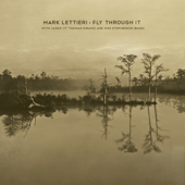 Fly Through It (feat. Jason &quot;JT&quot; Thomas &amp; Wes Stephenson) - EP - Mark Lettieri Cover Art