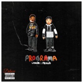 Programa (Deluxe) - EP artwork