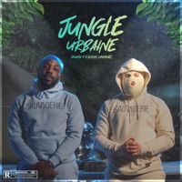 Jungle urbaine - Single - DOUMA & Kalash Criminel