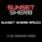 Meal Ticket (feat. Bloodline Youngin') - Sunset Sherb lyrics