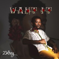 Want It - Single - 23Drey