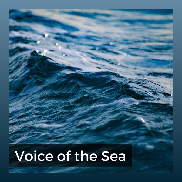 Voice of the Sea
