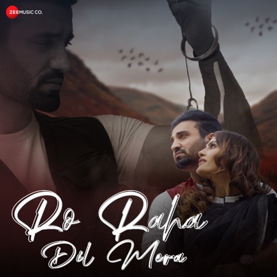 Ro Raha Dil Mera - Single