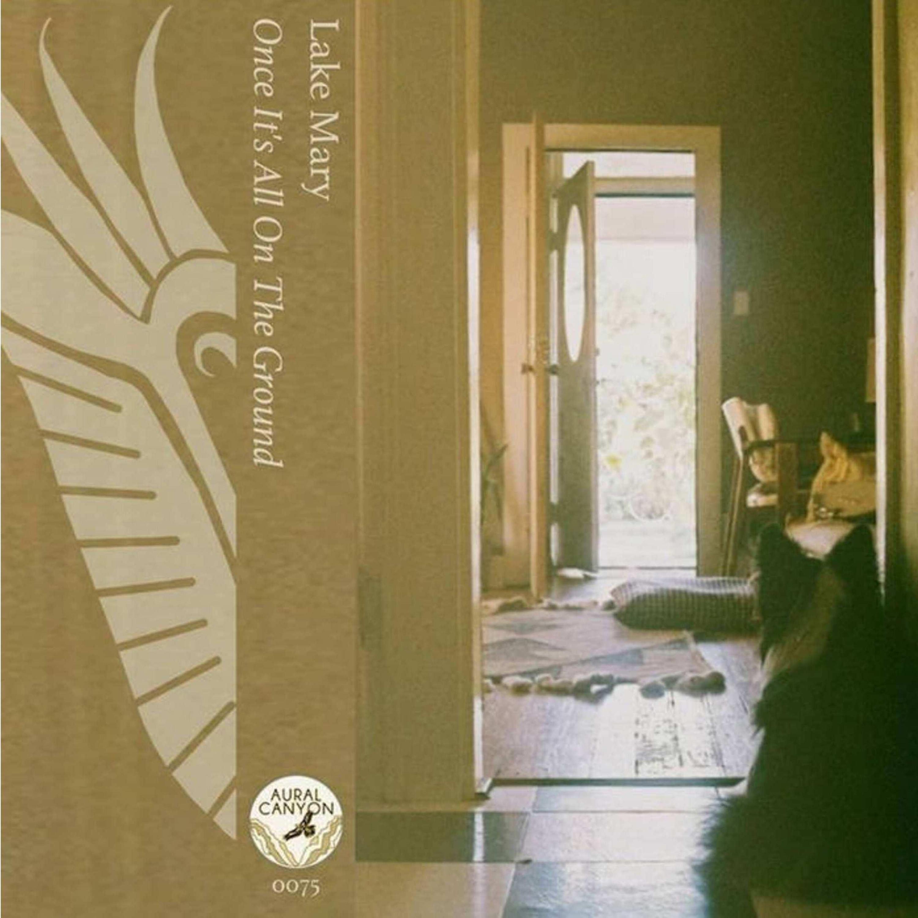 Once It's All On the Ground