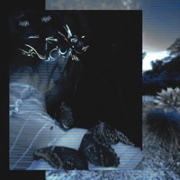 hold me down (feat. Aukina) - Single - hxly xo