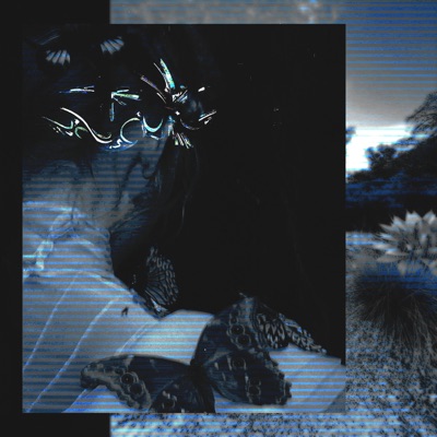 hold me down (feat. Aukina) - Single