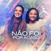 Não Foi Por Acaso (Ao Vivo) artwork