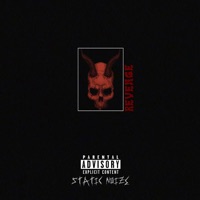 Revenge - Single - Static Noize & Trilla Venus