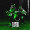 Crash - Single