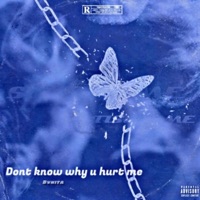 Dont know why you hurt me - Single - Bvnita