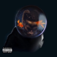 Don't Overfeed the Fish - Single - Mir Fontane