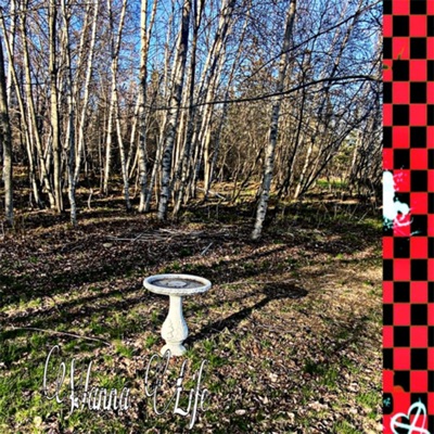 Wanna Life - Single