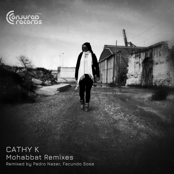Mohabbat Remixes - Single