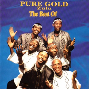 The Best Of Pure Gold - Zulu