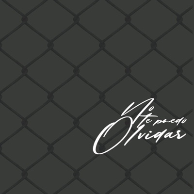 No Te Puedo Olvidar - Single
